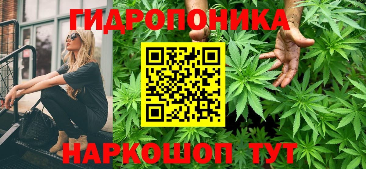 Бошки Шишки гибрид  Вход с VPN  Канабис Bruce Banner  Марихуана семена  Полевской  Марихуана Bruce Banner 